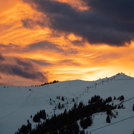 Les Saisies Appart 1 Chambre Au Pied Des Pistes Esterno foto