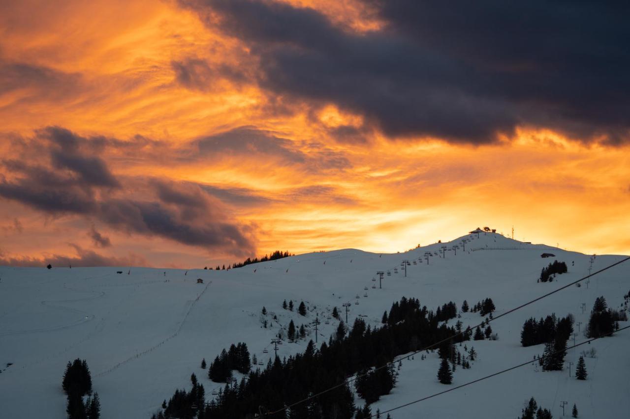 Les Saisies Appart 1 Chambre Au Pied Des Pistes Esterno foto